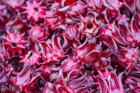 Pile of fresh roselle for sale in the market Stock Photos
