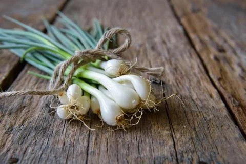 Pile of fresh spring onion on table Stock Photos