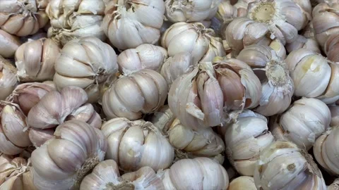 Pile of fresh white garlic bulbs at vegetable market Stock-Footage 340485643
