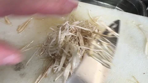 Pile of freshly shaved burdock root gobo strips on cutting board, Japan Stock Footage 342766775