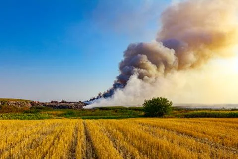 Pile of garbage on dump burns Stock Photos