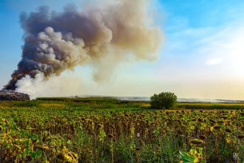 Pile of garbage on dump burns Stock Photos