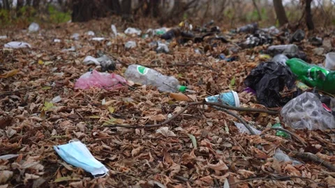 Pile of garbage in the forest 스톡 동영상 142349122