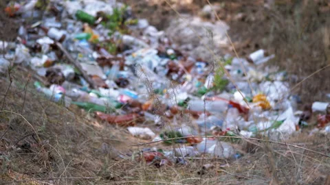 Pile of Garbage in the Forest Stock Footage 293271886
