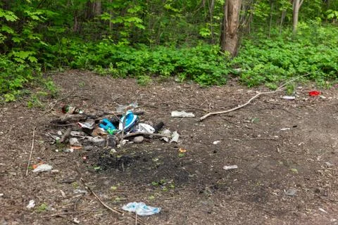 A pile of garbage in the forest. Stock Photos