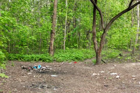 A pile of garbage in the forest. Foto stock