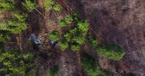 A pile of garbage in the forest. Pollution of nature. Aerial quadrocopter Video stock 73332034