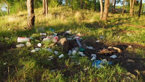 A pile of garbage left by tourists in the forest. Plastic waste. Stock Footage 280771994
