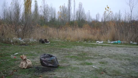 Pile of garbage is lying on the grass Vídeo Stock 142438625