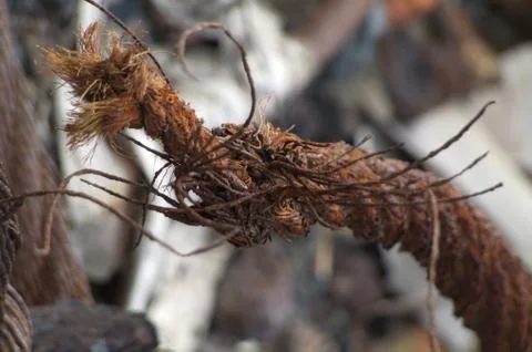 Pile of garbage Stock Photos