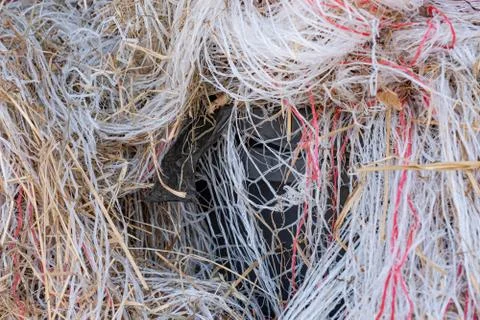 Pile of garbage, plastic threads of packing material in a large pile. many co Stock Photos