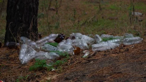 Pile of garbage scattered in the forest Vídeo Stock 162252110