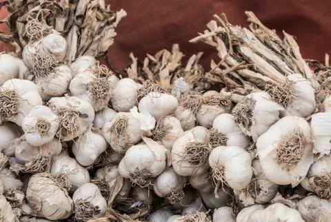 Pile of garlic as a background Stock Photos