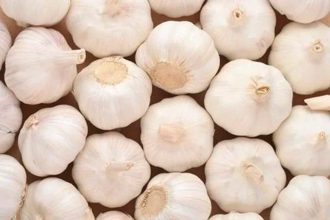 Pile of Garlic Stock Photos