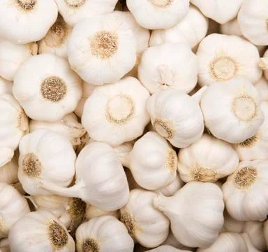 Pile of Garlic Stock Photos