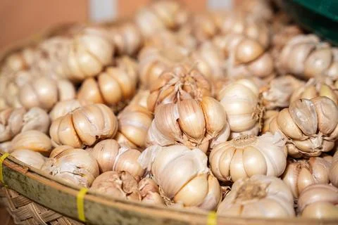Pile of garlic Stock Photos