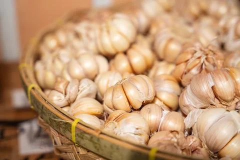 Pile of garlic Stock-Fotos