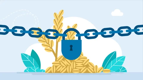 Pile of grain, an ear of corn behind a chain with a closed lock. Problem of food Stock Footage 247572452