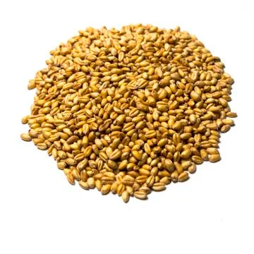 Pile of grain Stock Photos