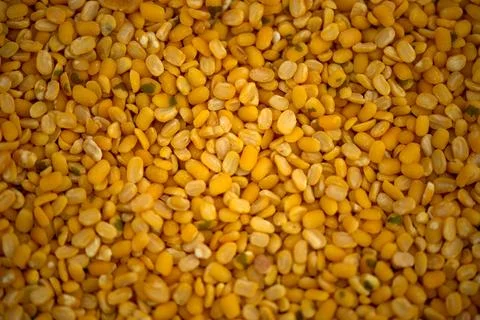 The pile of Gram pulses, Split Chickpeas, and Lentil Pulses. Stock Photos