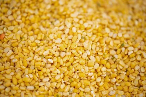 The pile of Gram pulses, Split Chickpeas, and Lentil Pulses. Stock Photos