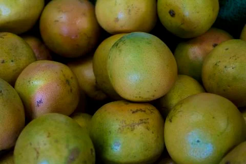 Pile of grapefruits 스톡 사진