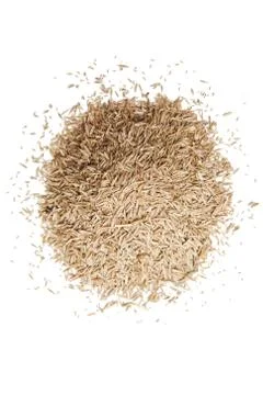 Pile of grass seed Stock Photos