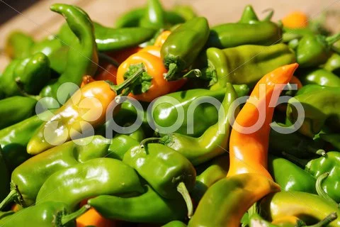 Pile Of Green Chili Peppers
