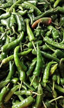 Pile of green chilli Stock Photos