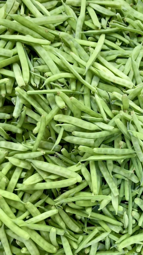 A pile of green Cluster beans or gavar fali for selling on a street shop Stock Footage 287437864