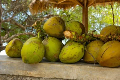 Pile of green coconuts on a stone ledge 스톡 사진