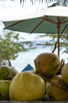 Pile of green coconuts on a stone ledge 스톡 사진