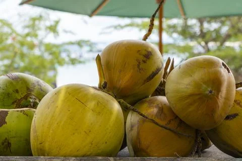 Pile of green coconuts on a stone ledge Foto stock
