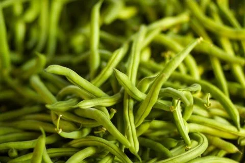 Pile of green string beans Stock Photos