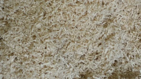 Pile of hardboard Stock Footage 88810221