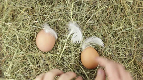 A pile of hay with easter eggs Stock Footage 24868365