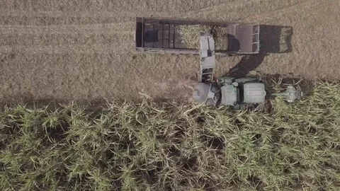 A pile of hay 库存影片 156849507