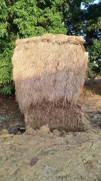 Pile of hay Stock Photos