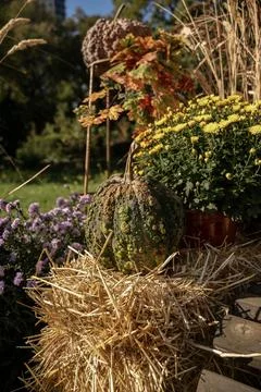 A pile of hay Foto stock