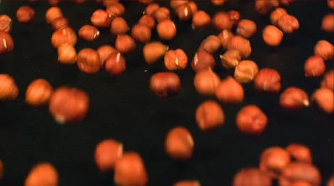 A pile of hazelnuts are rolling on a table Stock Footage 58669210
