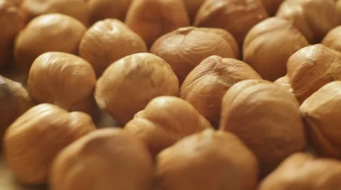 A pile of hazelnuts are rolling on a table. Close up. Macro shot. Stock Footage 62449574