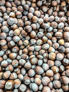 Pile of hazelnuts - close up Fotos Stock