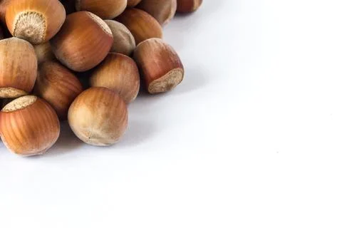 Pile of hazelnuts in a corner isolated on white Stock Photos
