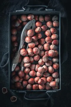 Pile of hazelnuts on dark table. Quick and good snack. Stock Photos