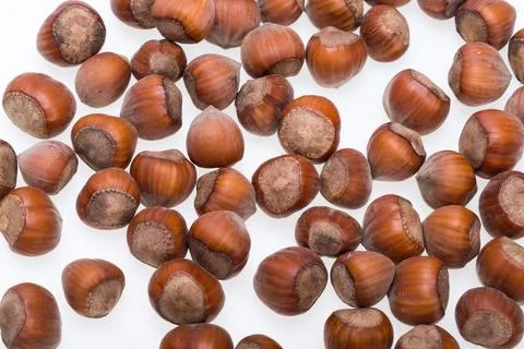 Pile of hazelnuts isolated on white background Stock Photos