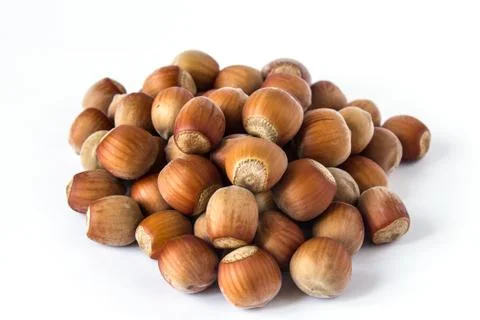 Pile of hazelnuts isolated on white closer Stock Photos
