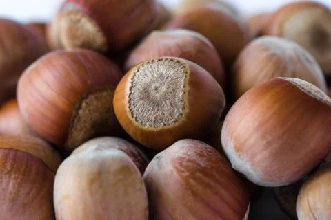 Pile of hazelnuts macro view Stock Photos