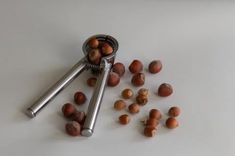 A pile of hazelnuts is poured into a nutcracker and next to it Stock Photos