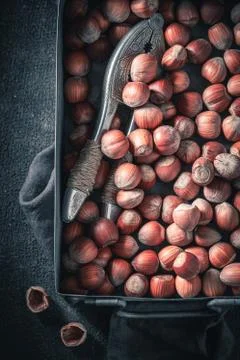 A pile of hazelnuts in a rustic metal box Stock Photos