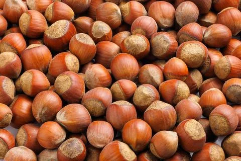 Pile of hazelnuts with shells full frame close-up background Stock Photos